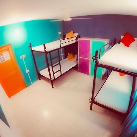 The Hostel Crawl Udaipur Eksteriør billede