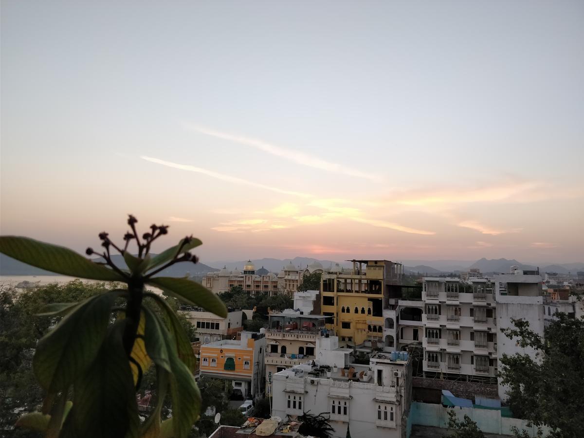 The Hostel Crawl Udaipur Eksteriør billede