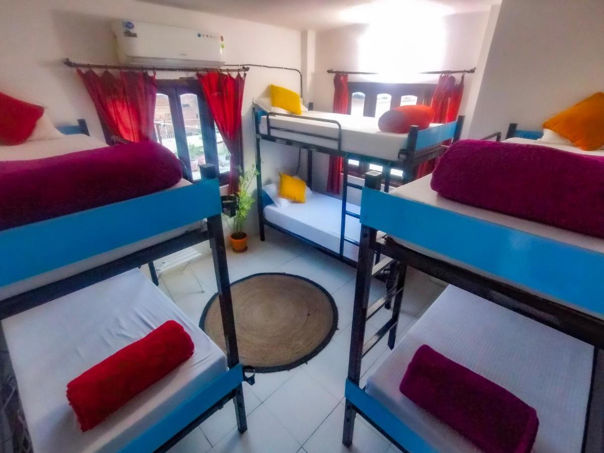 The Hostel Crawl Udaipur Eksteriør billede