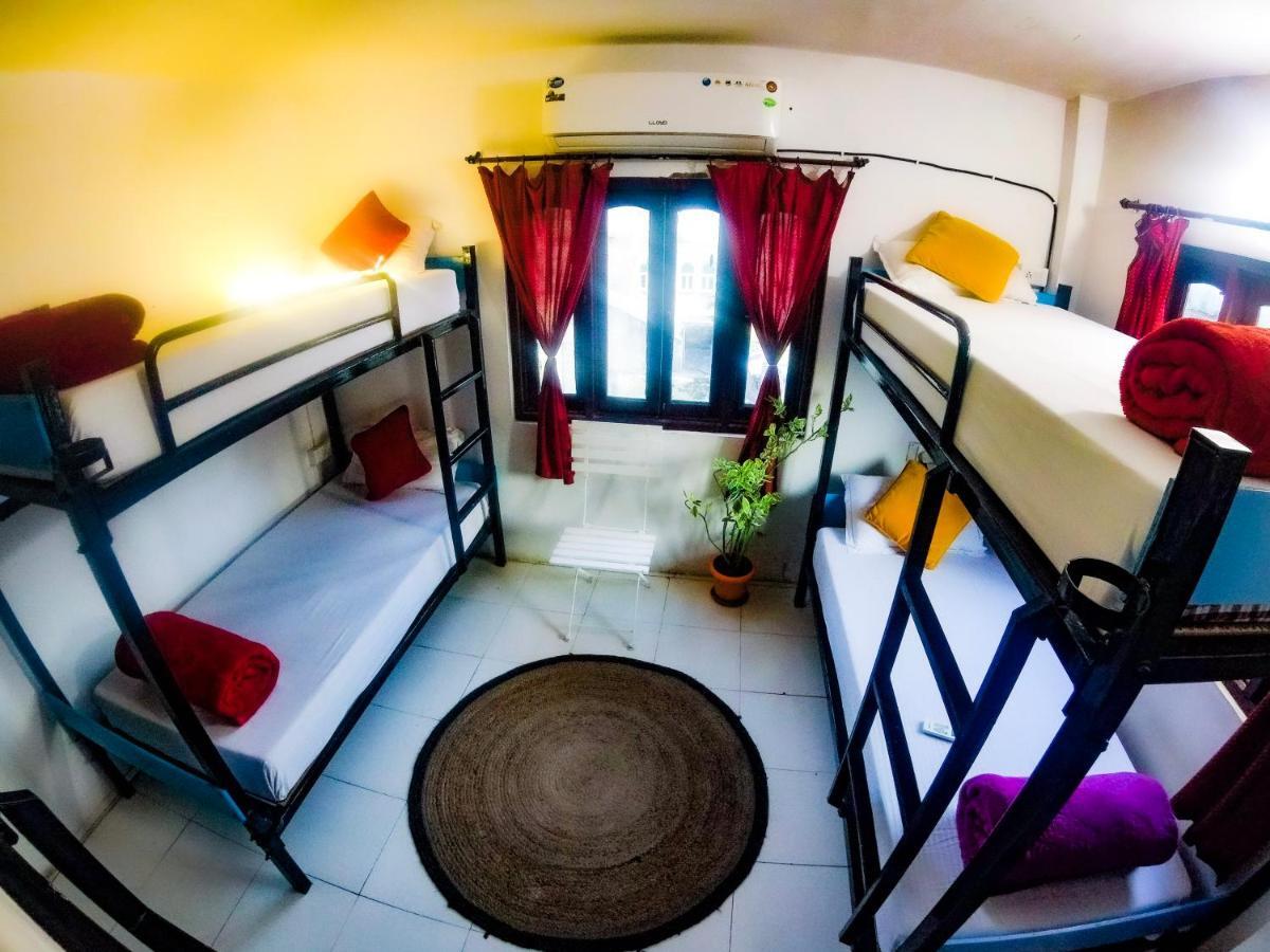 The Hostel Crawl Udaipur Eksteriør billede