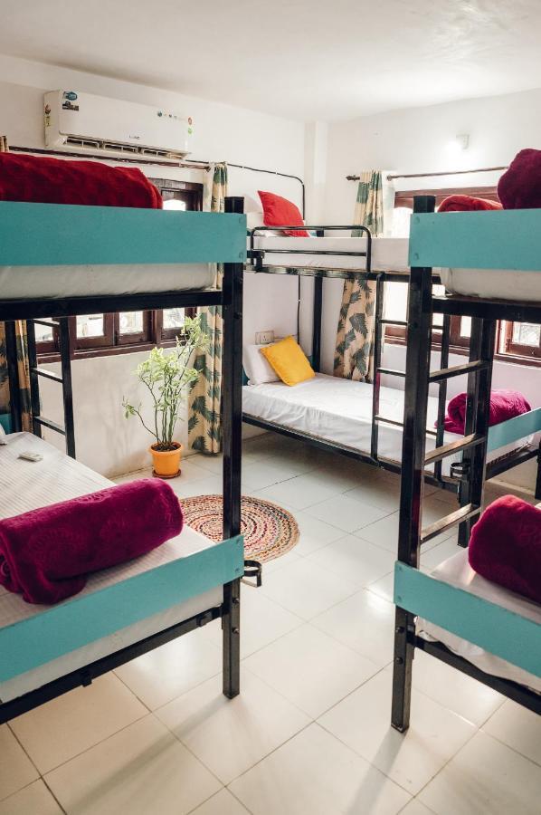 The Hostel Crawl Udaipur Eksteriør billede